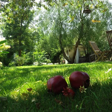 Oda ve Kahvaltı Narlı