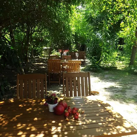 Narli * マルマリス