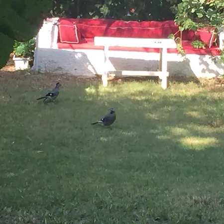 Narli ベッド・アンド・ブレックファスト