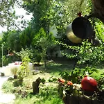 Narli *