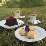 Oda ve Kahvaltı Narlı Marmaris