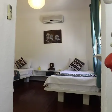 Bed & Breakfast Narli *