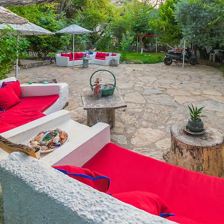 Narlı Oda ve Kahvaltı *